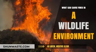 Wildfires Unveiled: Exploring Natural and Human Causes in Wildlife Environments