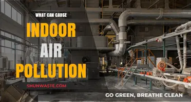 Unveiling the Hidden Sources: What Causes Indoor Air Pollution?