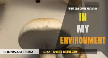 Environmental Triggers: Uncovering Factors That Induce Mutations Around Us