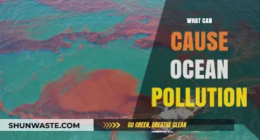 Unveiling the Hidden Causes of Ocean Pollution