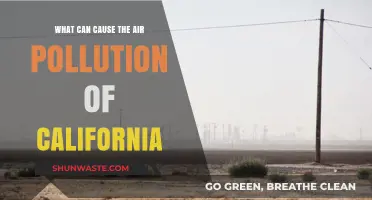 Unveiling California's Air Pollution: Sources and Solutions