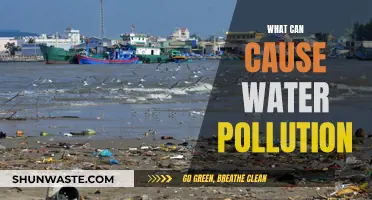 Water Pollution: Understanding the Causes and Impact