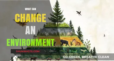 Transforming Ecosystems: Key Factors Shaping Our Environment's Future