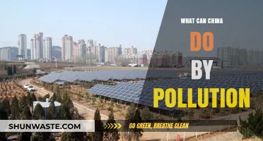 China's Battle Against Pollution: Strategies for a Greener Future