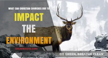 Christian Churches: Stewardship Actions for Environmental Impact and Sustainability