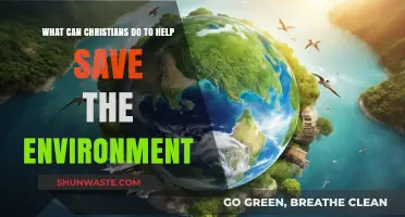 Stewards of Creation: Christian Actions to Protect Our Environment