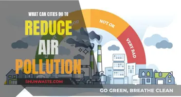 Cities' Action Plan to Reduce Air Pollution