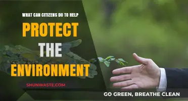 Empowering Citizens: Simple Actions for a Greener, Healthier Planet