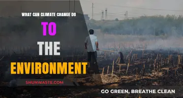 Climate Change Impacts: Devastating Environmental Consequences and Urgent Solutions