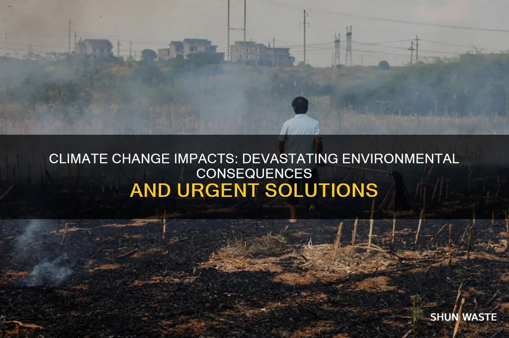 what can climate change do to the environment