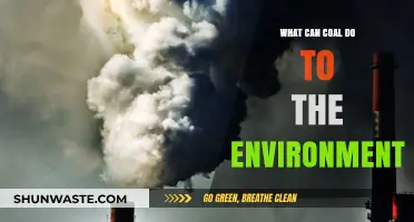 Coal's Environmental Impact: Pollution, Climate Change, and Ecosystem Destruction Explained