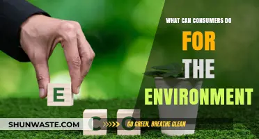 Empowering Eco-Friendly Choices: Simple Actions Consumers Can Take for the Environment