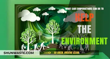 Corporate Eco-Action: Strategies for Businesses to Protect Our Planet