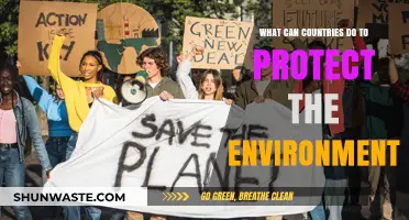 Sustainable Strategies: How Nations Can Safeguard Our Planet's Future