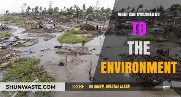 Cyclones' Devastating Environmental Impacts: Destruction, Erosion, and Ecosystem Disruption