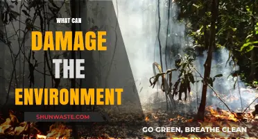 Human Activities and Natural Disasters: Major Environmental Damage Causes