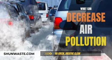 Strategies to Reduce Air Pollution and Breathe Easier
