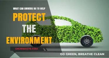 Eco-Friendly Driving Tips: Simple Ways Drivers Can Protect the Environment