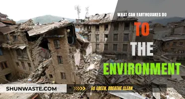 Earthquakes' Environmental Impact: Shaking Ecosystems, Landscapes, and Habitats