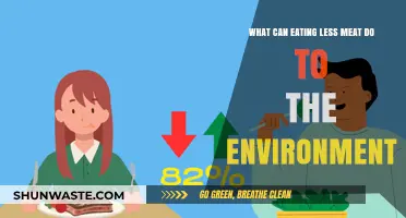 Reducing Meat Consumption: A Powerful Step for Environmental Sustainability