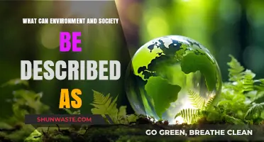 Exploring the Interconnected Dynamics of Environment and Society