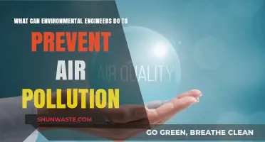 Environmental Engineers: Air Pollution Prevention Strategies