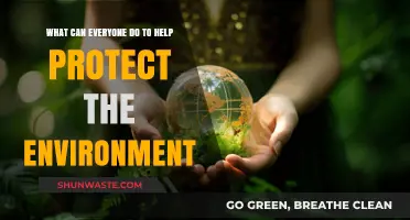 Simple Eco-Friendly Actions: How Everyone Can Protect Our Planet Daily