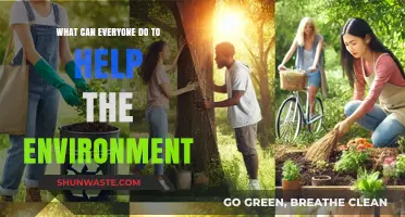 Simple Eco-Friendly Actions: How Everyone Can Protect Our Planet Daily