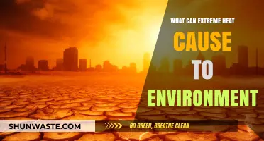Extreme Heat's Devastating Impact on Ecosystems and Environmental Health