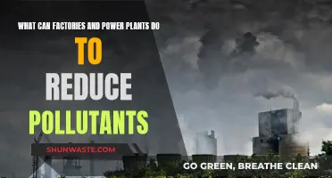 Strategies for Factories and Power Plants to Cut Pollutants