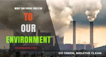 Fossil Fuels' Devastating Impact: Environmental Consequences and Urgent Solutions