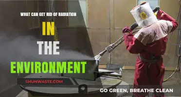 Effective Strategies to Eliminate Environmental Radiation and Protect Ecosystems