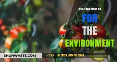 GMOs and Environmental Impact: Sustainable Solutions for a Greener Future