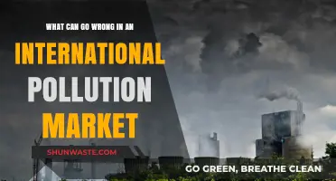 International Pollution Market: Navigating Risks and Unforeseen Consequences