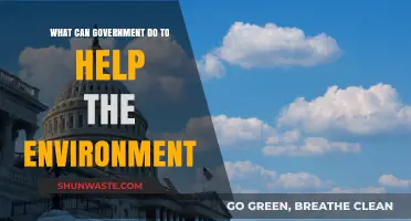 Sustainable Policies: How Governments Can Lead Environmental Conservation Efforts