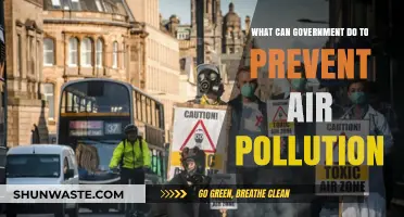 Government's Role in Air Quality: Strategies to Combat Pollution