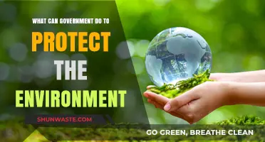 Government Strategies to Safeguard Our Environment: Policies for a Sustainable Future