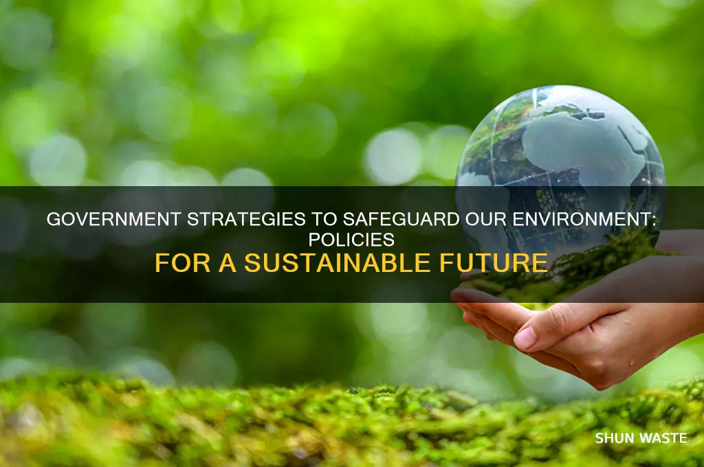 what can government do to protect the environment