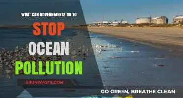 Ocean's Future: Governments' Role in Pollution Prevention