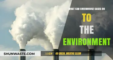 Greenhouse Gases: Environmental Impacts, Climate Change, and Global Consequences