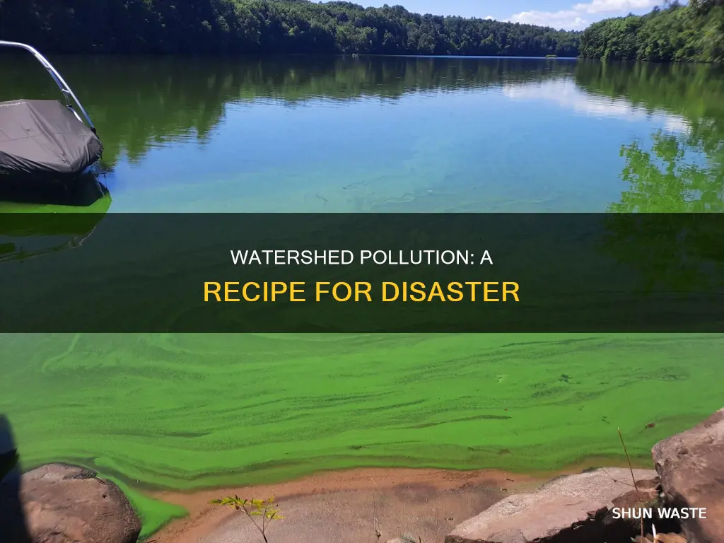 what can happen if a watershed is polluted