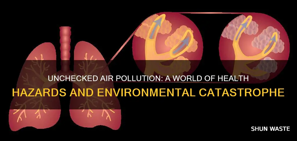 what can happen if air pollution goes unchecked