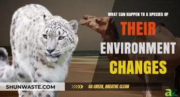 Environmental Shifts: How Species Adapt, Survive, or Face Extinction