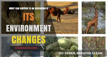 Environmental Shifts: How Organisms Adapt or Face Survival Challenges