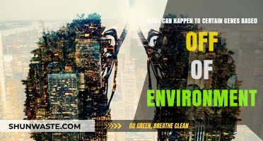 Environmental Influences: How Surroundings Shape Gene Expression and Function