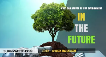 Future Environmental Shifts: Predicting Impacts on Our Planet's Health