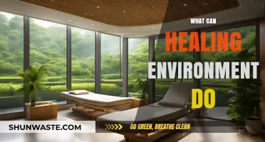 Healing Environments: Transforming Health, Enhancing Recovery, and Promoting Well-Being