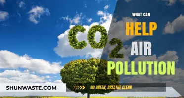 Breathing Clean: Effective Solutions to Combat Air Pollution