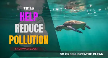 Green Solutions: Reducing Pollution for a Better Tomorrow