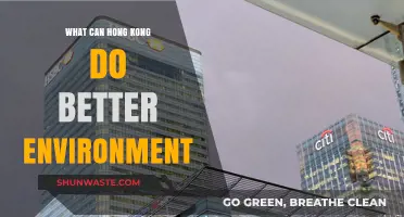 Enhancing Hong Kong's Environmental Sustainability: Key Strategies for a Greener Future
